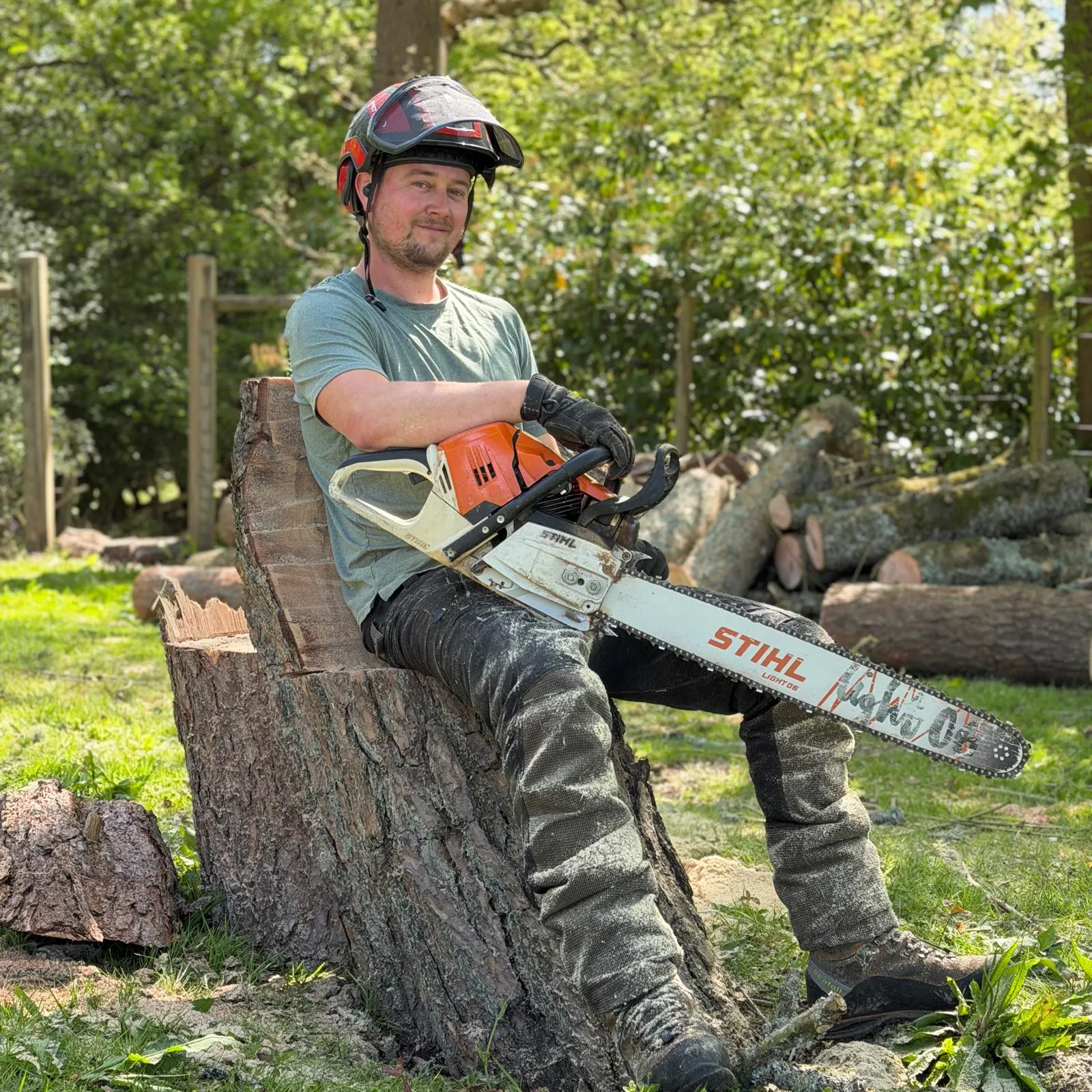 Tree surgeon at work