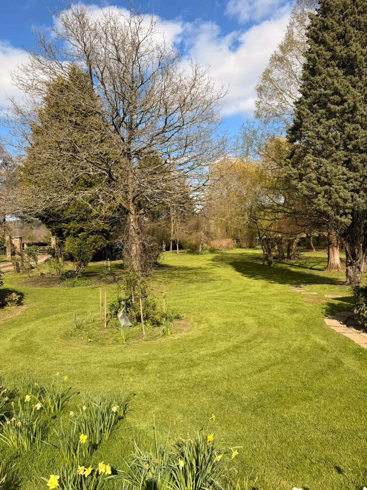 Lawn before maintenance work