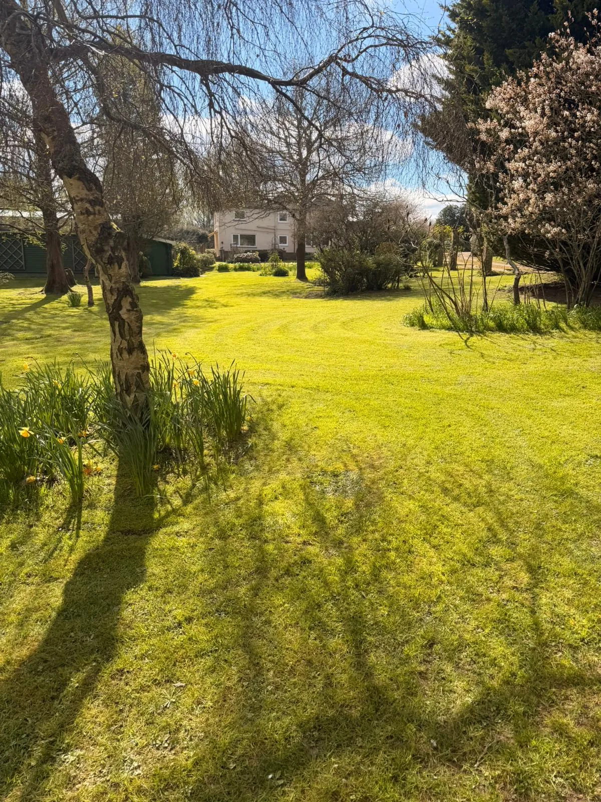 Completed lawn maintenance in Sussex