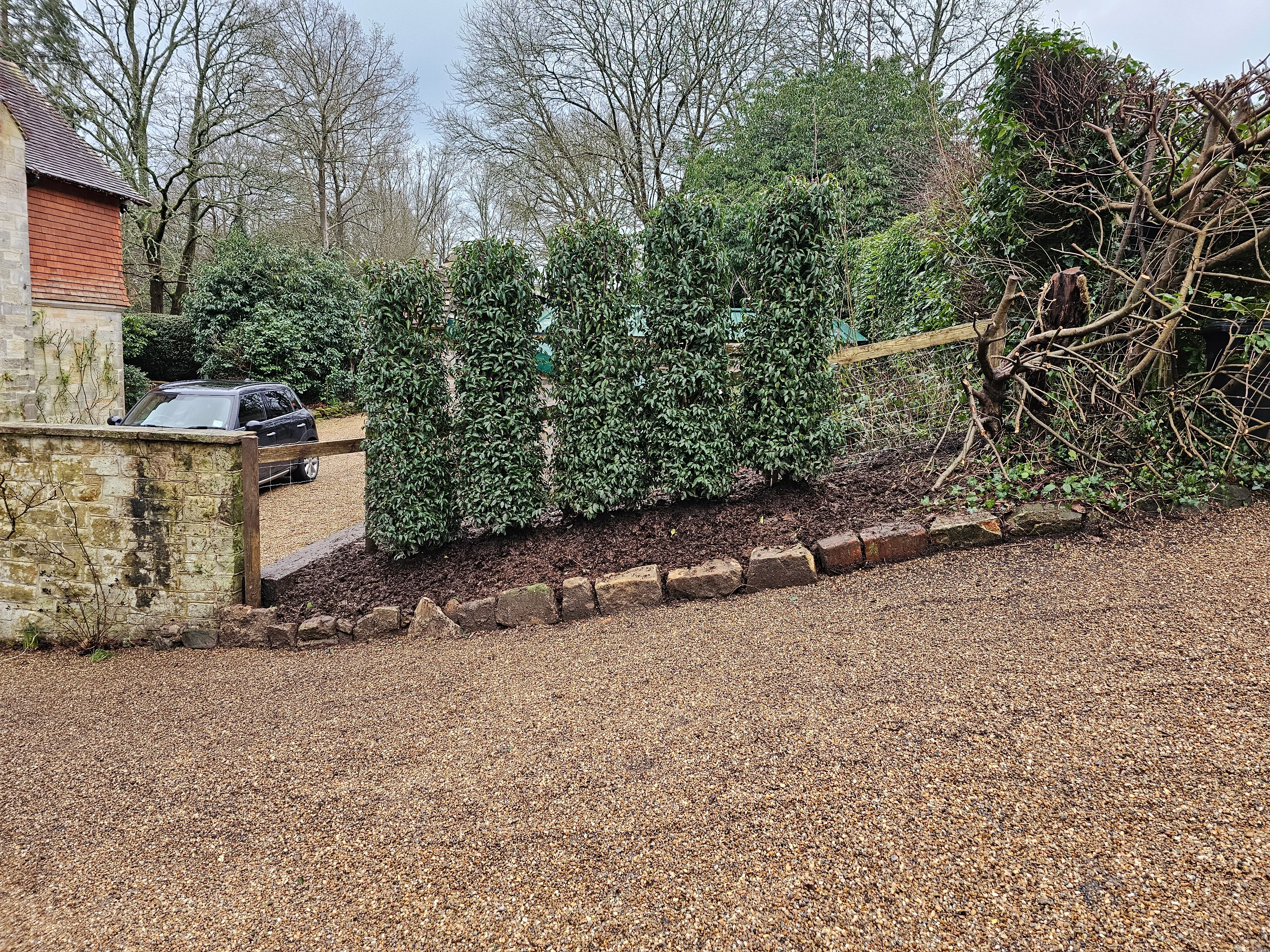 New hedge planting during completion