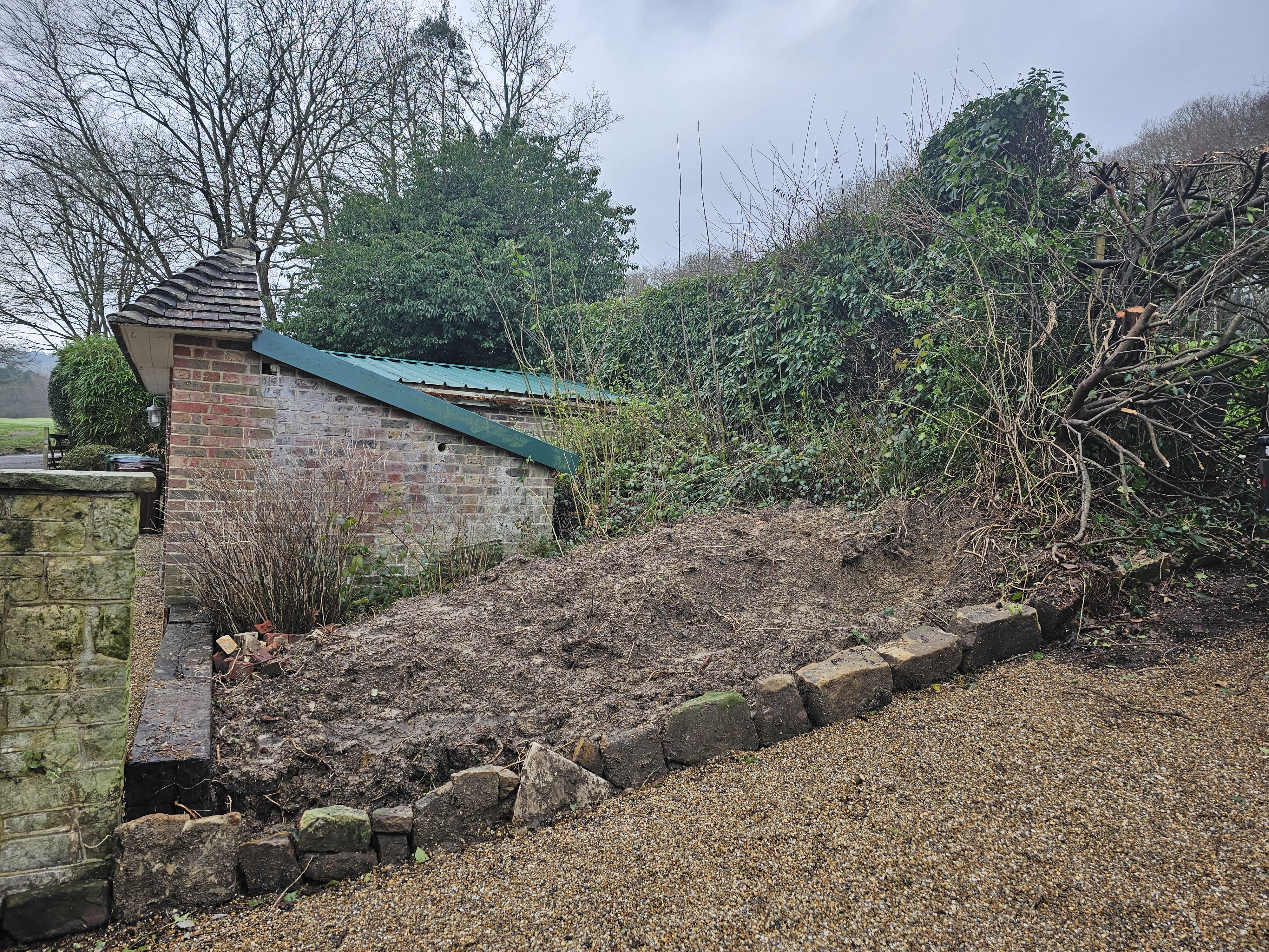 Garden boundary before hedge planting