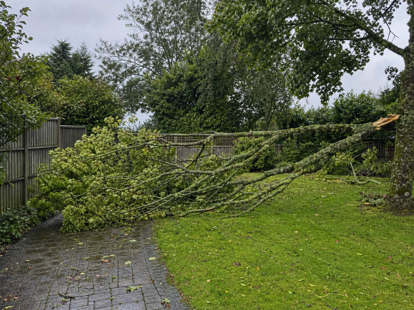 Emergency Work - Before